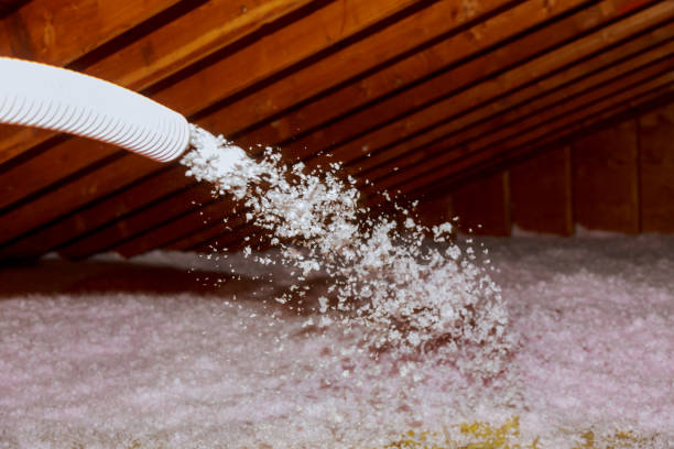Best Best Insulation Companies  in Westwood, PA