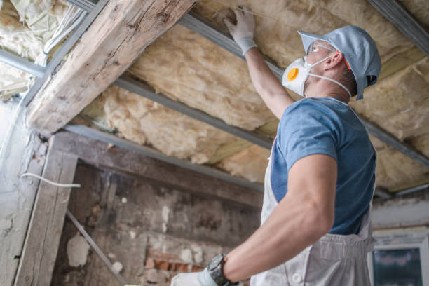 Best Insulation Contractors for Homes  in Westwood, PA